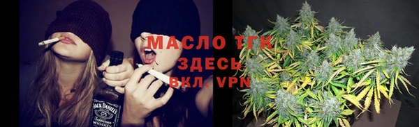 тгк Инта