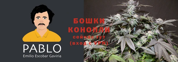 сатива Инсар