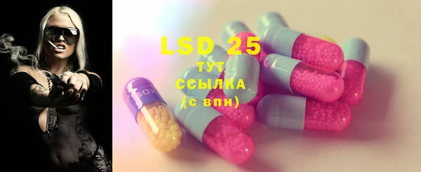 сатива Инсар