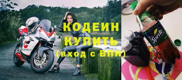 тгк Инта