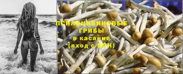 тгк Инта