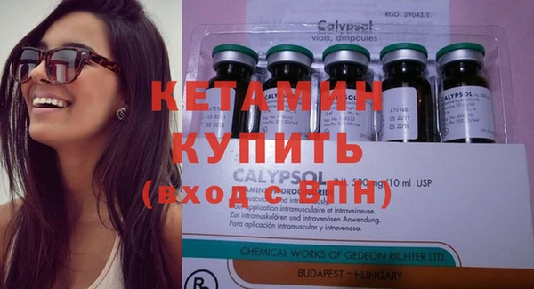 сатива Инсар