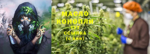 СК Зерноград
